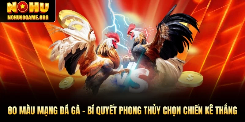 80 Màu Mạng Đá Gà – Bí Quyết Phong Thủy Chọn Chiến Kê Thắng