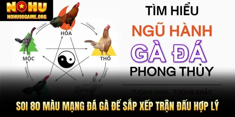Soi 80 màu mạng đá gà để sắp xếp trận đấu hợp lý