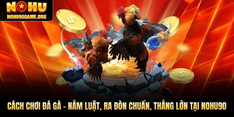 Cách Chơi Đá Gà - Nắm Luật, Ra Đòn Chuẩn, Thắng Lớn Tại Nohu90