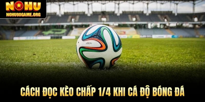 Cách đọc kèo chấp 1/4 khi cá độ bóng đá