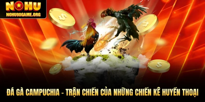 Đá Gà Campuchia - Trận Chiến Của Chiến Kê Huyền Thoại Nohu90