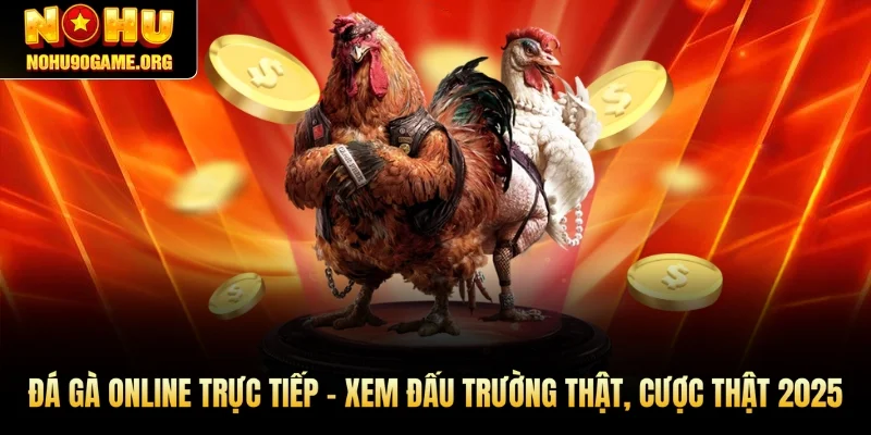 Đá Gà Online Trực Tiếp – Xem Đấu Trường Thật, Cược Thật 2025