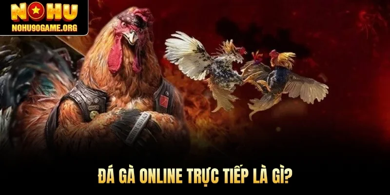 Đá gà online trực tiếp là gì?