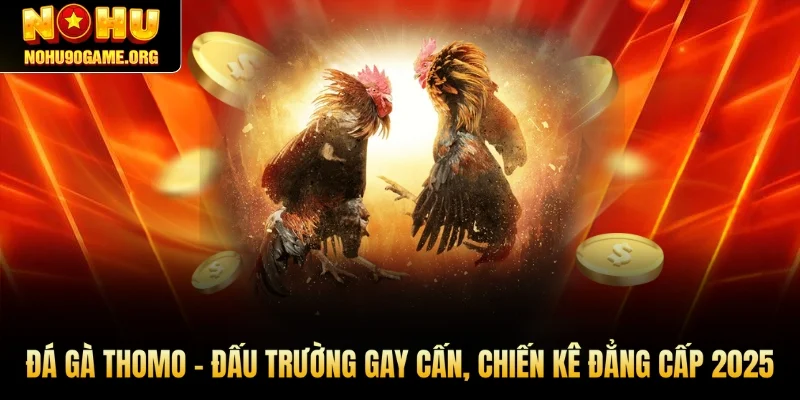 Đá Gà Thomo – Đấu Trường Gay Cấn, Chiến Kê Đẳng Cấp 2025
