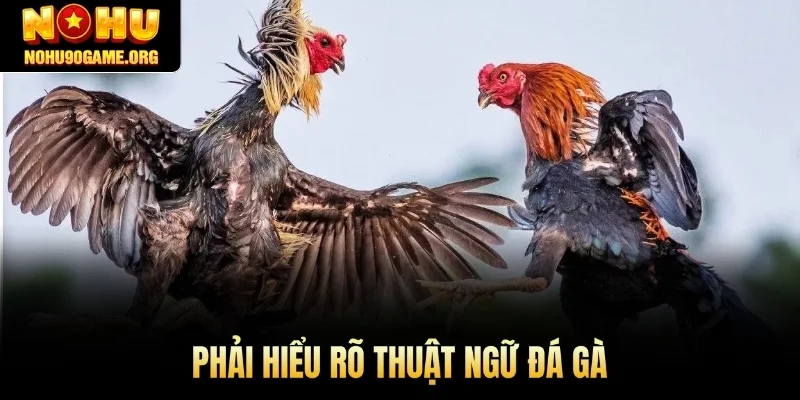 Phải hiểu rõ thuật ngữ đá gà