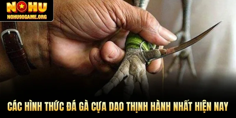Các hình thức Đá Gà cựa dao thịnh hành nhất hiện nay