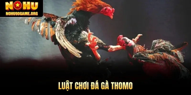 Luật chơi đá gà Thomo