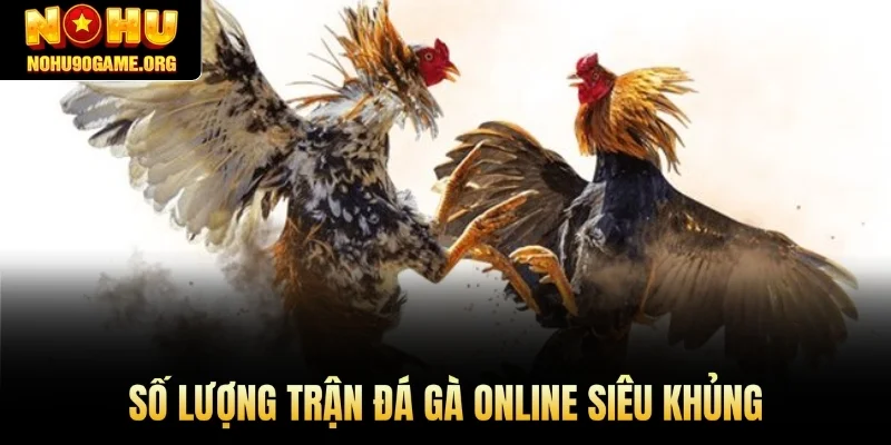 Số lượng trận đá gà online siêu khủng