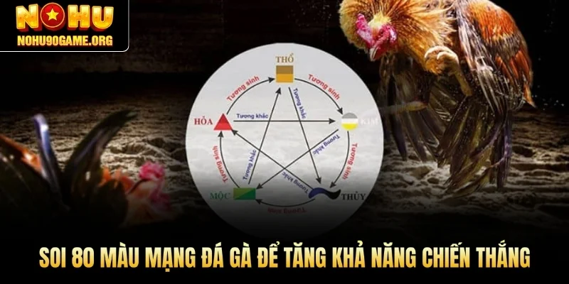 Soi 80 màu mạng đá gà để tăng khả năng chiến thắng trong mọi trận đấu